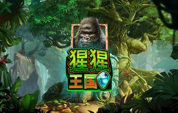 港澳宝典4273CC